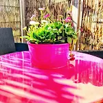 Schoenwaelder Mit Kleiner Terrasse Und Box Appartement *