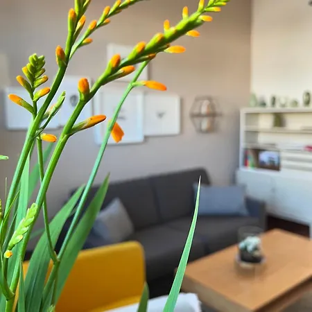 Schoenwaelder Mit Kleiner Terrasse Und Box Lägenhet