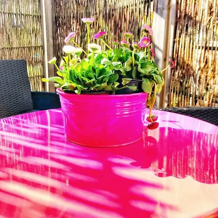 Schoenwaelder Mit Kleiner Terrasse Und Box דירה *