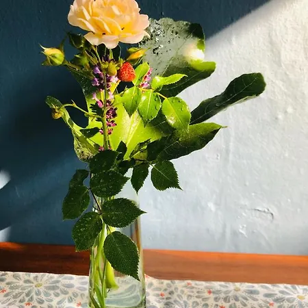 דירה Schoenwaelder Mit Kleiner Terrasse Und Box *